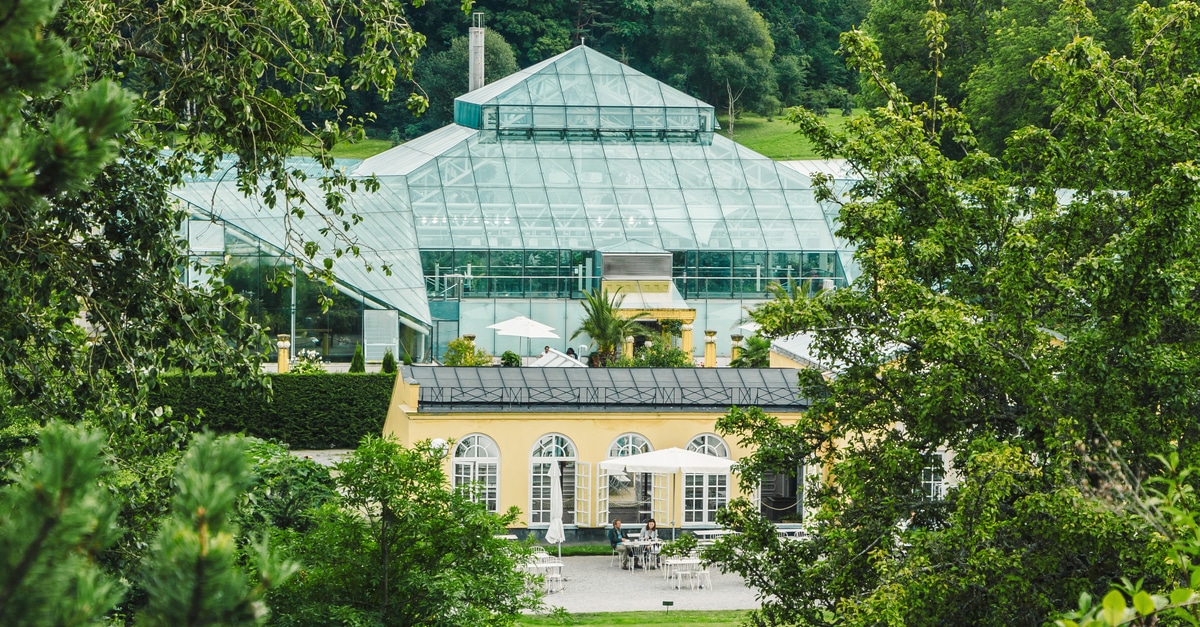 Bergianska trädgården Travel Guide